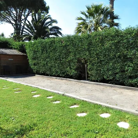 Calopsitte Grimaud