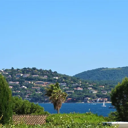 Calopsitte Grimaud