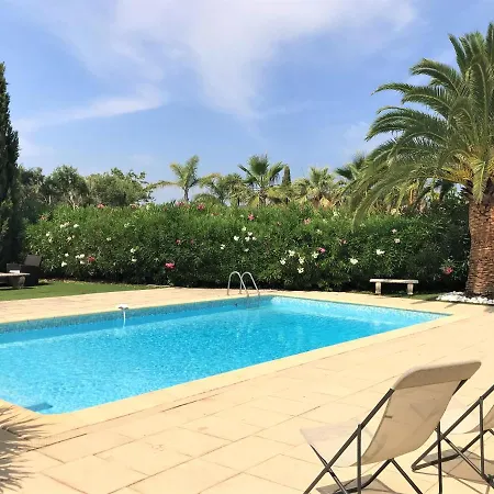Calopsitte * Grimaud